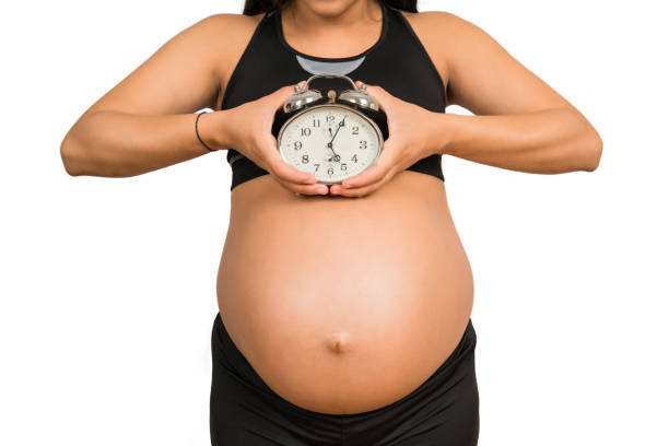 istock Pregnant woman holding alarm clock. 1213544202