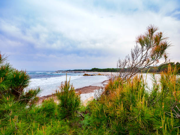 istock Cala Liberotto, Orosei, Sardinia, Italy 1213544413
