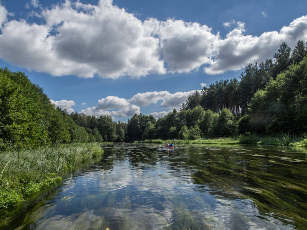 Trees and clouds reflecting in a water Trees and clouds reflecting in a water. Wda river canoeing trip bory tucholskie stock pictures, royalty-free photos & images