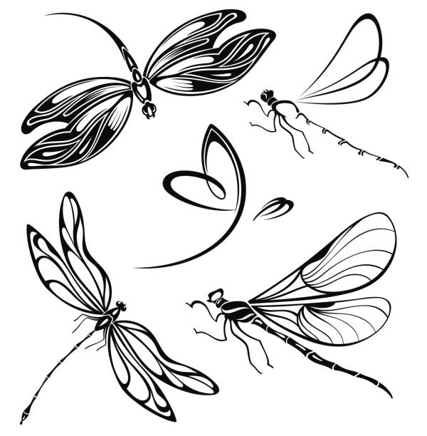 летающая стрекоза - dragonfly stock illustrations