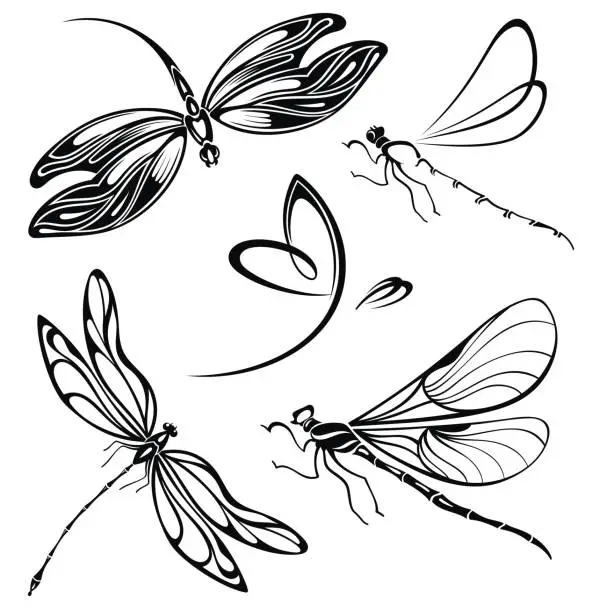 Vector illustration of Flying dragonfly