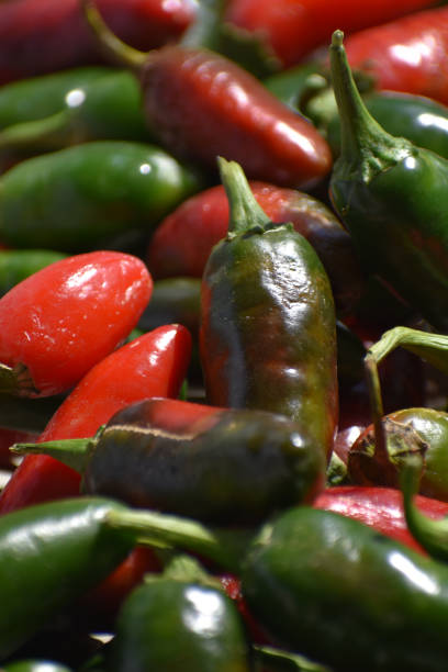 istock Peppers from vegetable garden 1213552511