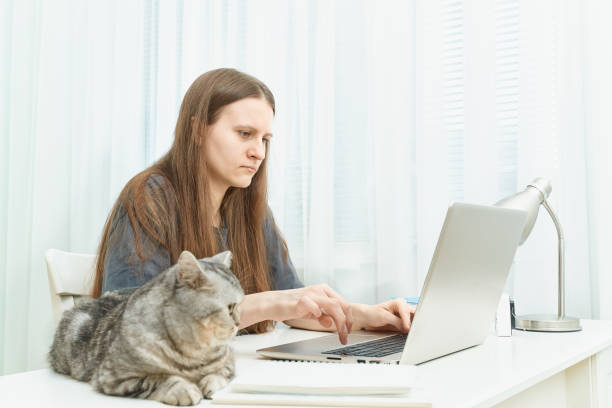istock Distance education for students. Quarantine, self-isolation, sociophobia, online learning 1213554351