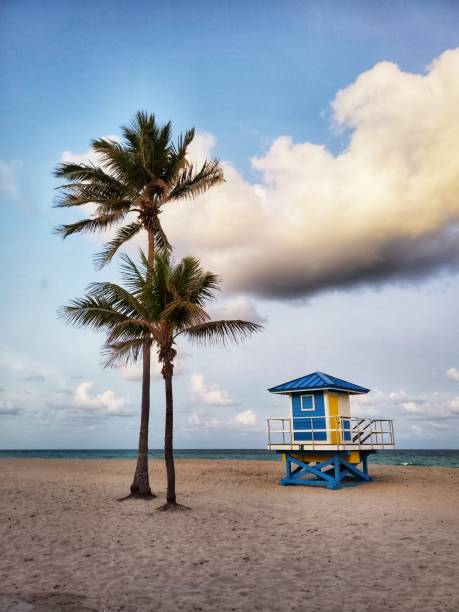 istock Fort Lauderdale beach 1213555706