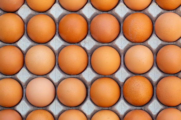 группа органических куриных яиц свободного ассортимента в корзине на сельскохозяйственных угодьях деревни природы. свежие яйца для прода� - 11316 стоковые фото и изображения