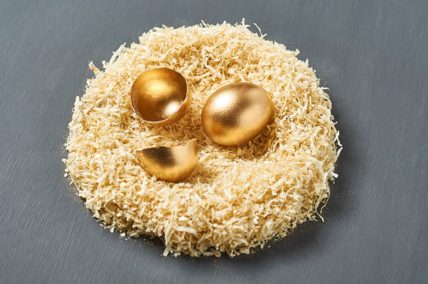 l’œuf et les coquilles d’or peints se trouvent dans le nid sur le fond foncé de béton. concept de pâques. symbole de réussite des affaires et de l’investissement - animal egg golden animal nest nest egg photos et images de collection