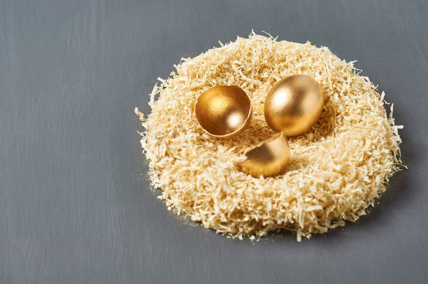 l’œuf et les coquilles d’or peints se trouvent dans le nid sur le fond foncé de béton. concept de pâques. symbole de la réussite des affaires et de l’investissement. espace de copie - animal egg golden animal nest nest egg photos et images de collection