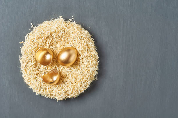 l’œuf et les coquilles d’or peints se trouvent dans le nid sur le fond foncé de béton. concept de pâques. symbole de la réussite des affaires et de l’investissement. copier l’espace. vue supérieure - animal egg golden animal nest nest egg photos et images de collection