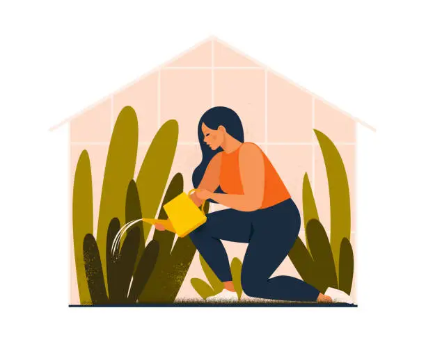 Vector illustration of Lovely young woman or gardener taking care of home garden, watering houseplants growing in greenhouse.  Flat cartoon vector illustration.
