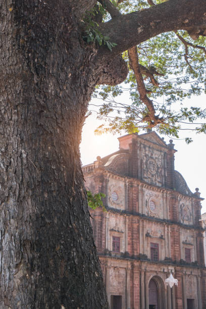 istock Basilica of Bom Jesus, Goa, 1213560984