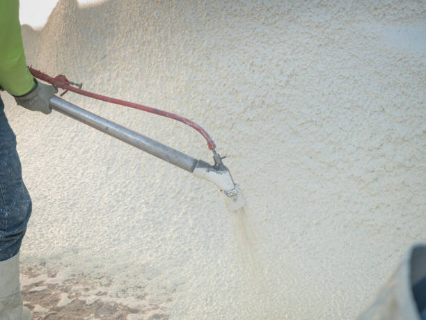 istock Man spraying cement during a swimming pool renovation 1213561582