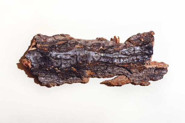 istock A plank made of tree bark. With a tight shadow on a light background. Concept 1213561947