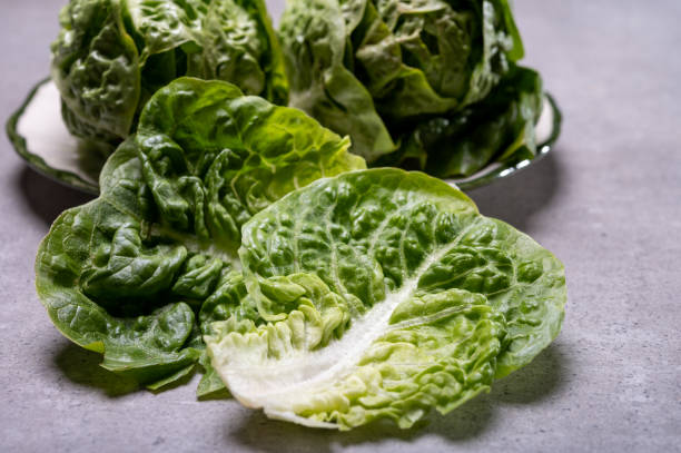 istock Fresh green raw Romaine or cos lettuce 1213565489