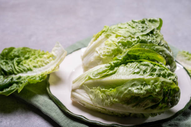 istock Fresh green raw Romaine or cos lettuce 1213565522