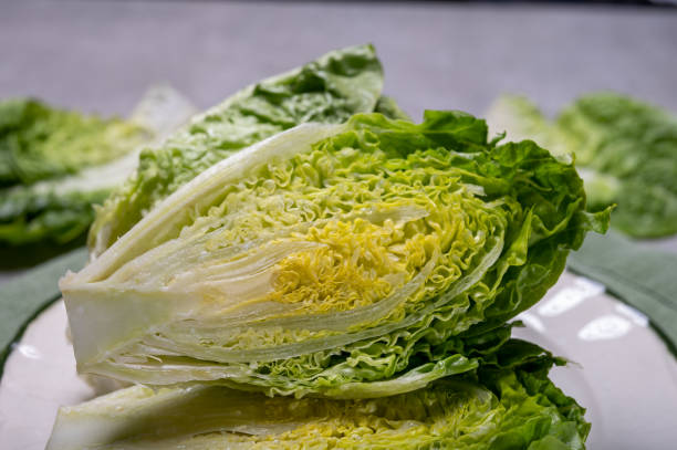 istock Fresh green raw Romaine or cos lettuce 1213565538