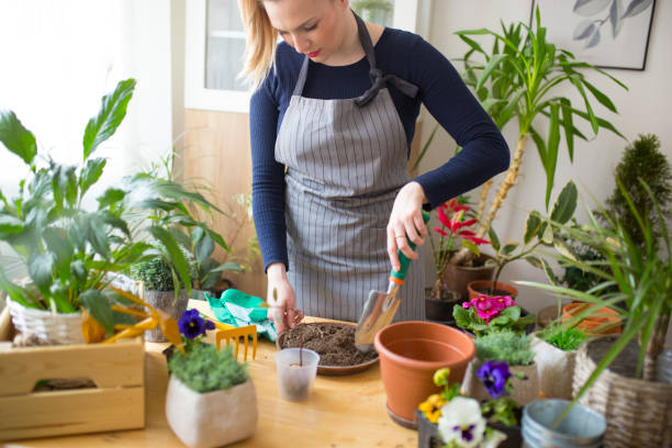 istock Preparing soil for planting flowers 1213566187