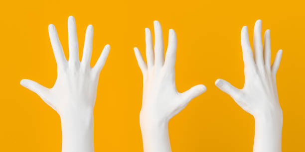 istock Raised grabbing hand, five count gesture. Five fingers open palm female white hands set isolated 3d rendering. Art creative voting and communication concept banner 1213566369