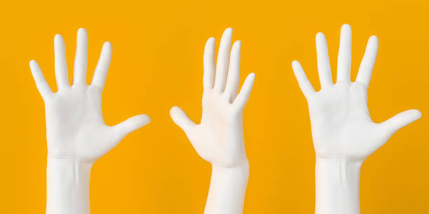 istock Hand up gesture. Five fingers open palm female white hands set isolated 3d rendering. Art creative voting and communication concept banner. 1213566594
