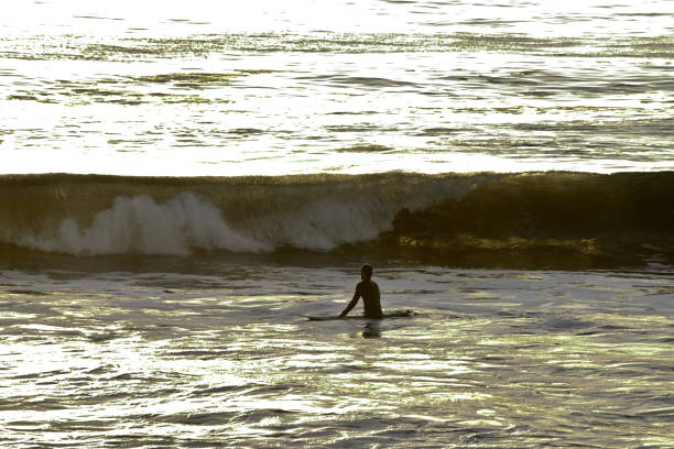 istock Surfer entering the sea at sunset in Australia 1213567343