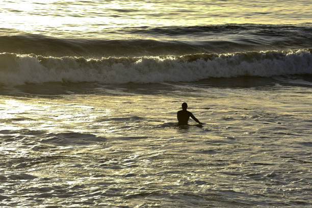 istock Surfer entering the sea at sunset in Australia 1213567372