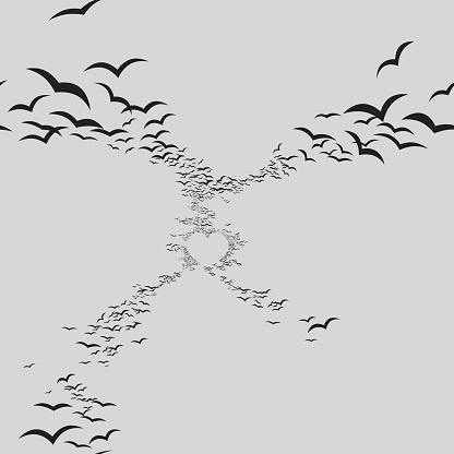 vector seamless texture of flying birds
