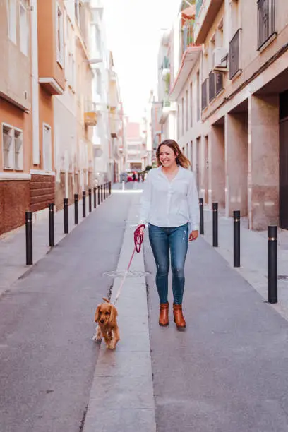 young woman at the street walking with her cute cocker dog. Lifestyle outdoors with pets