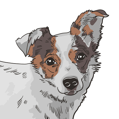 Vector illustration of the dog. Black and white
