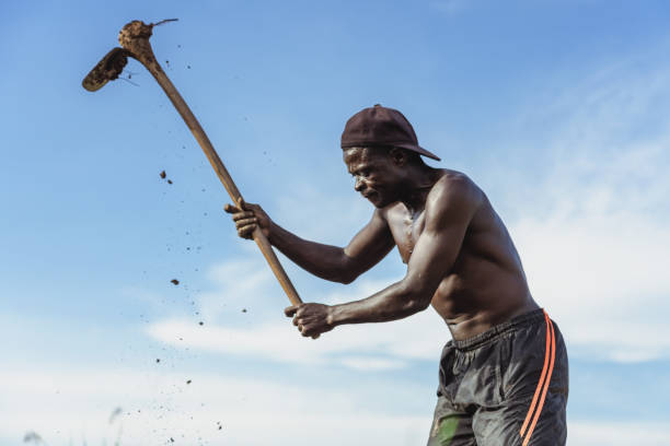 istock African rural farmer in Malawi 1213570273