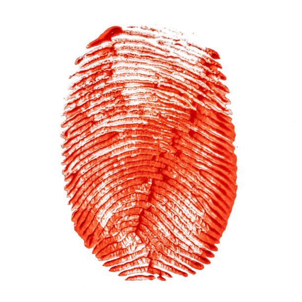 Human bloody fingerprint isolated on white background