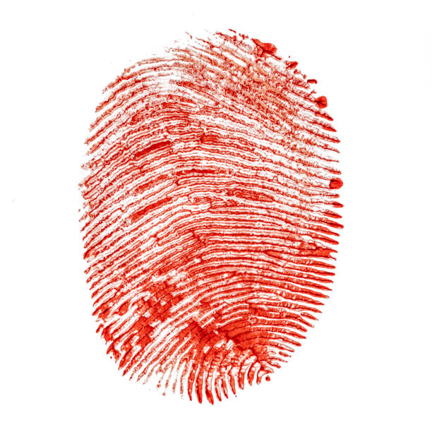istock Human bloody fingerprint isolated on white background 1213572467