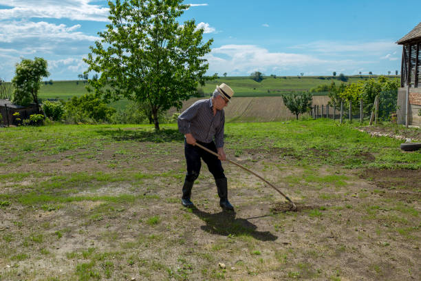 istock Senior man working in a garden 1213573432