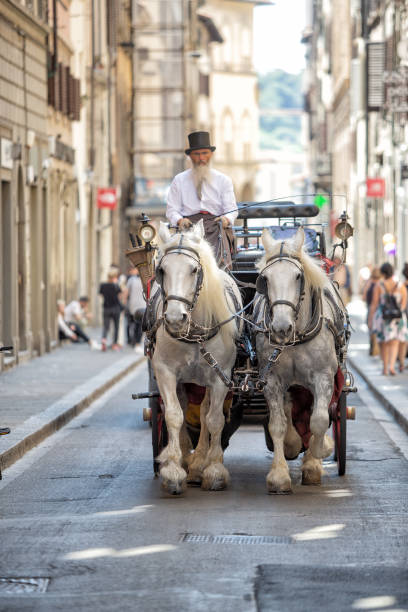 View of a  horse drawn carriage for taking tourists through the streets of Florence, Italy