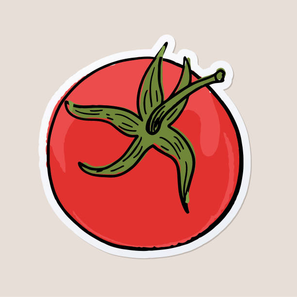 ilustrações, clipart, desenhos animados e ícones de adesivo de comida fresca desenhado à mão - tomato heirloom tomato vegetable isolated