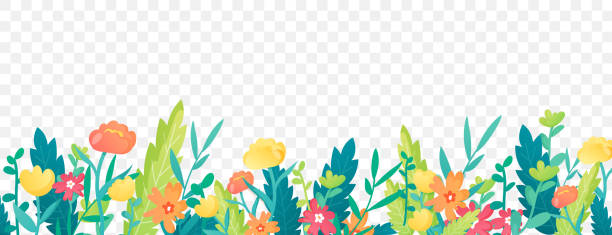 ilustrações de stock, clip art, desenhos animados e ícones de bright floral border on transparent background. - gardening flower backgrounds beauty in nature