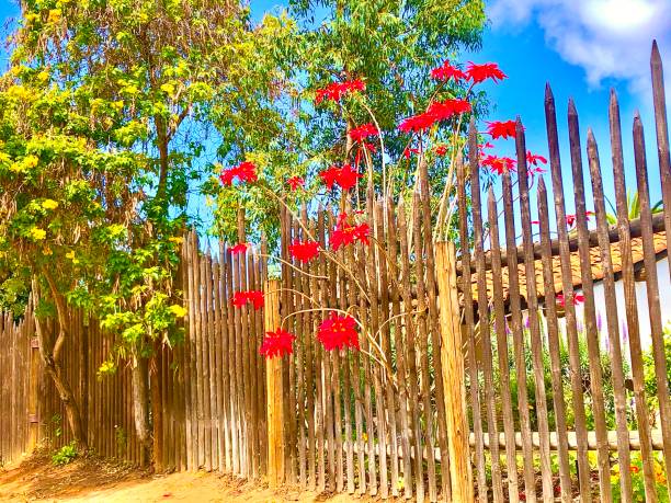 Old Town, San Diego