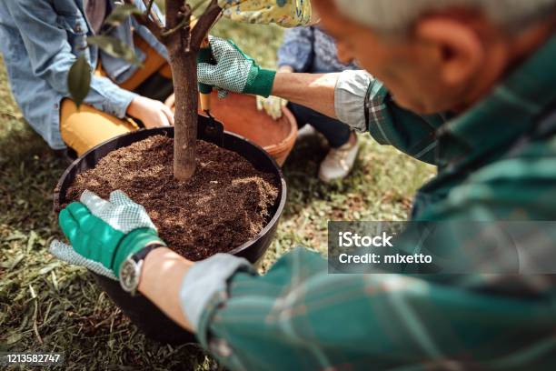 Multigeneration Family Working Together At Their Backyard Stock Photo - Download Image Now