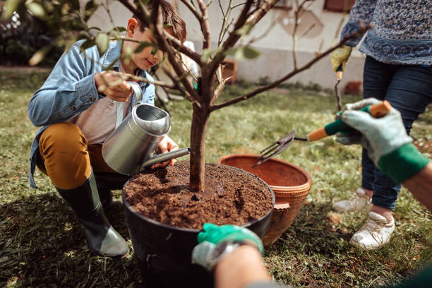 istock Multi-generation family working together at their backyard 1213582844