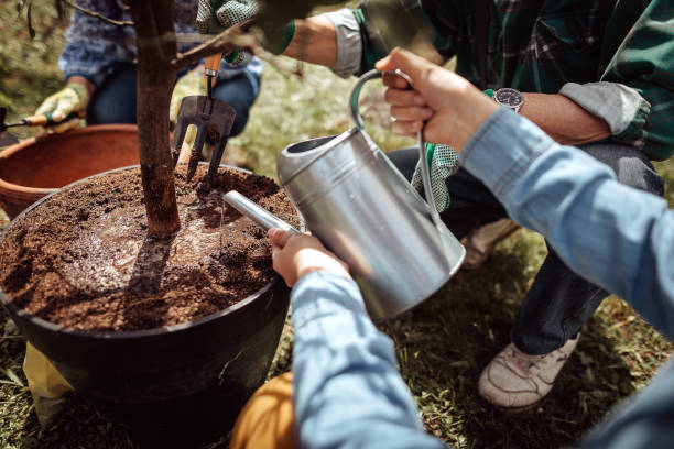 istock Grandson watering plant while working with his grandparents at their backyard 1213582908