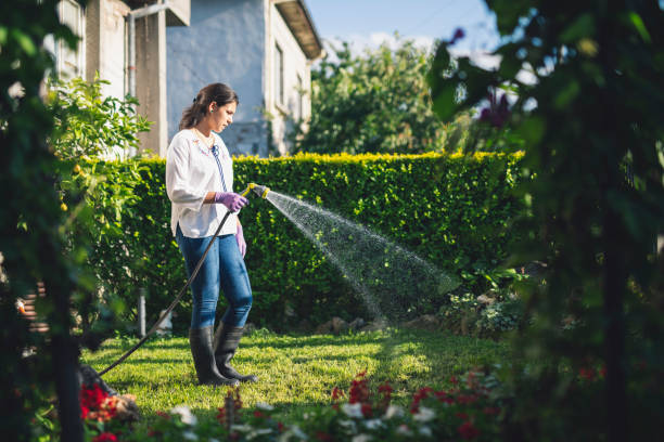 istock Young Woman Watering Her Backyard 1213589481