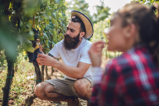 istock Young love in the countryside 1213589553