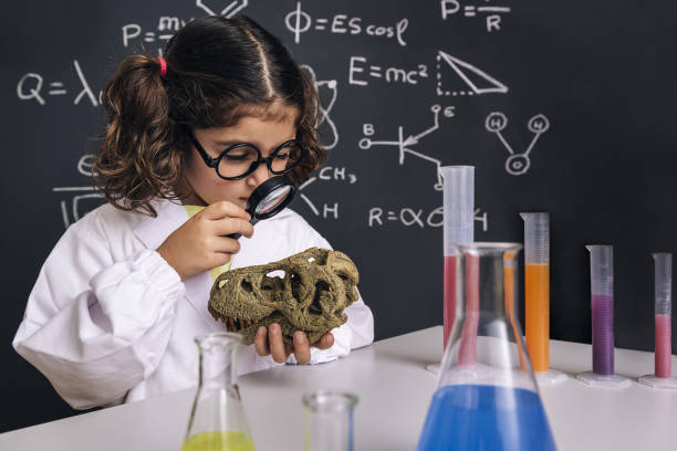 scientist child studying a dinosaur skull little girl scientist with glasses in lab coat with chemical flasks studying a dinosaur skull with her magnifying glass, back to school and successful female career concept dinosaur photos stock pictures, royalty-free photos & images