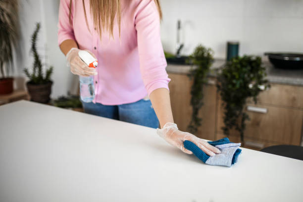 istock Cleaning and disinfecting home interior 1213591010