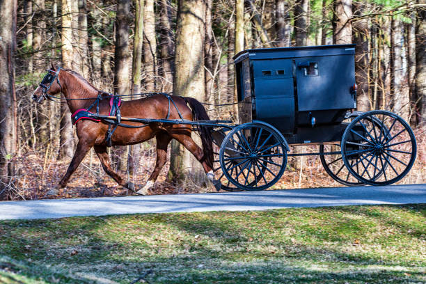 istock Amish Horse and Buggy 1213591941