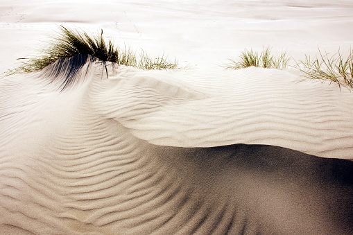A Close-Up Abstract Rippled Sand Nature Background.