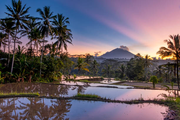 istock Mount Agung view from Tampak Siring 1213593889
