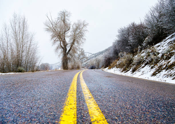 Winter Driving Curve with Double Yellow Line - Scenic dramatic landscape with nobody on road and unique Cottonwood Tree road curve.