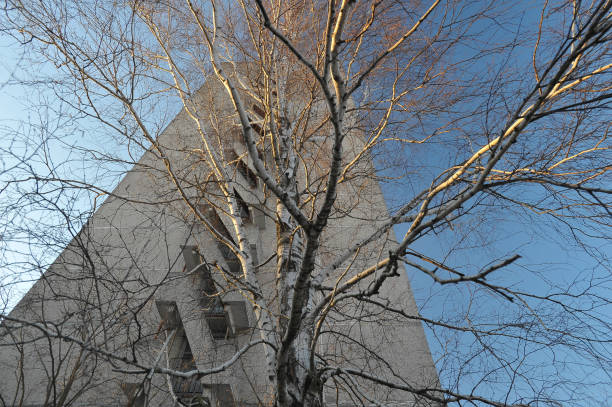 istock Ghost town Pripyat in Chernobyl zone 1213597397