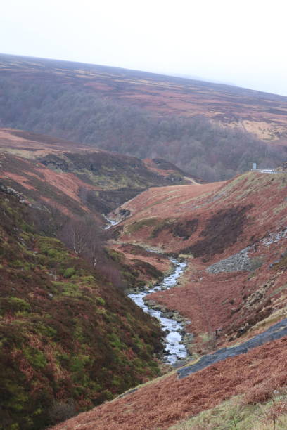istock English moorland in early spring 1213608051