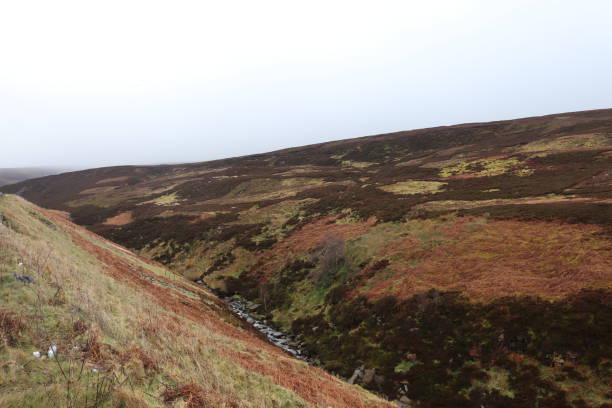 istock English moorland in early spring 1213608114