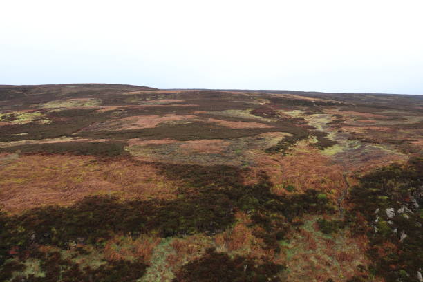 istock English moorland in early spring 1213608161